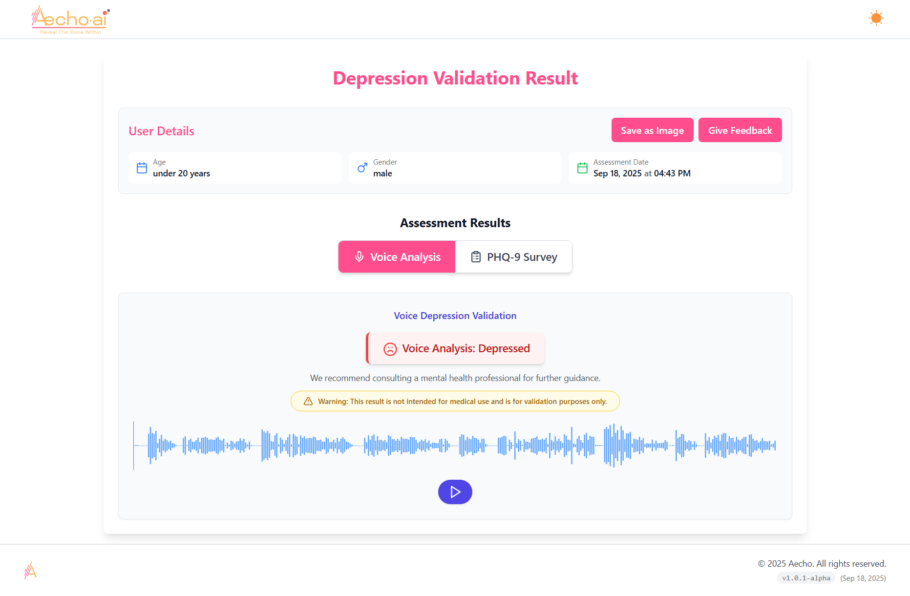 Depression Assessment Interface Preview